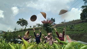 Agrowisata Kaligua PTPN I Reg. 3: Menyatu dengan Alam, Menyegarkan Jiwa lewat “The Healing Power of Tea”