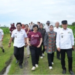 Rektor Unila dan Wamen Sains Teknologi Tinjau Lokasi Pembangunan Sekolah Garuda di Lampung