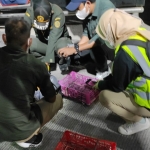 Petugas Gagalkan Penyelundupan Burung di Bakauheni, Pelaku Gunakan Identitas Palsu