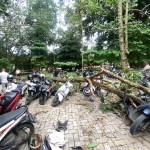 Kendaraan Mahasiswa Terdampak Pohon Tumbang, Unila Beri Bantuan Perbaikan