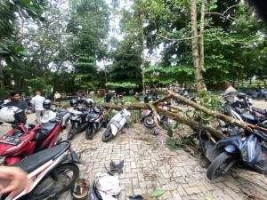 Kendaraan Mahasiswa Terdampak Pohon Tumbang, Unila Beri Bantuan Perbaikan