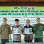 Dukung Konservasi Satwa Liar, Gubernur Mirzani Kenalkan Anak Harimau Puspa dan Muli Sikop