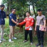 Momen Iduladha 1447 H, Pelindo Regional 2 Panjang Salurkan 21 Ekor Hewan Kurban