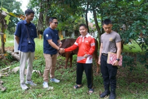 Momen Iduladha 1447 H, Pelindo Regional 2 Panjang Salurkan 21 Ekor Hewan Kurban