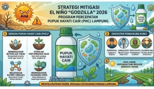 Hadapi Ancaman El Nino, Pemprov Lampung Percepat Penguatan Irigasi dan Ketahanan Pangan