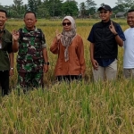 BULOG Lampung Perkuat Ketahanan Pangan, Serap 369 Ribu Ton Gabah Petani