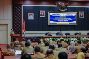 Pemprov Lampung Sosialisasi Reviu Perencanaan dan Keuangan Daerah Berbasis Digital