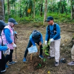 Peringati Hari Lingkungan Hidup Sedunia, PLN Lampung Tanam Pohon Perkuat Komitmen Keberlanjutan