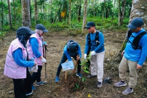 Peringati Hari Lingkungan Hidup Sedunia, PLN Lampung Tanam Pohon Perkuat Komitmen Keberlanjutan