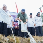 Gubernur Mirza dan Bupati Mesuji Tebar 33 Ribu Benih Ikan di Perairan Jembatan Pasar KTM