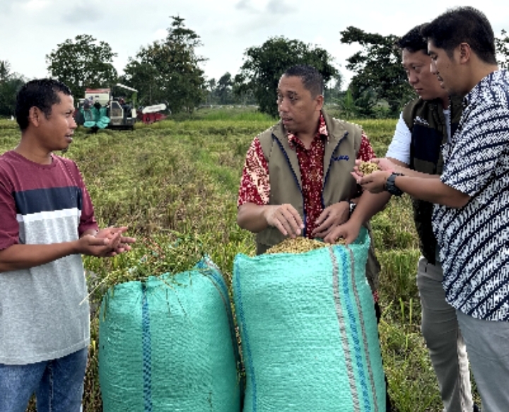 Serapan Gabah Bulog Tembus 3 Juta Ton, Lampung Sumbang 400 Ribu Ton