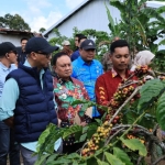 Pupuk Hayati Cair Dongkrak Produktivitas dan Percepat Masa Panen Kopi
