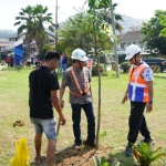 Dukung Dekarbonisasi dan Pelabuhan Hijau, Pelindo Regional 2 Panjang Tanam 250 Pohon