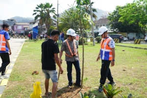 Dukung Dekarbonisasi dan Pelabuhan Hijau, Pelindo Regional 2 Panjang Tanam 250 Pohon