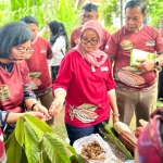 Transformasi Kakao Lampung Timur, Dari Kebun Menuju Produk Bernilai Tinggi