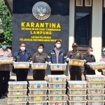 Dari Bagasi Gelap Menuju Langit Biru, Penyelundupan 670 Burung Ilegal Kandas di Pelabuhan Bakauheni