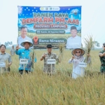 Kolaborasi Pemprov Lampung dan Kementan Dongkrak Produktivitas Padi