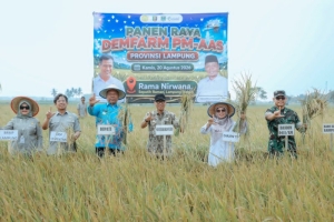 Kolaborasi Pemprov Lampung dan Kementan Dongkrak Produktivitas Padi
