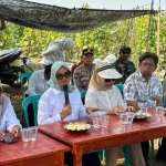 Tinjau Program Listrik Masuk Sawah, Bupati Lamtim Siapkan Subsidi KWH bagi Petani
