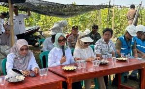 Tinjau Program Listrik Masuk Sawah, Bupati Lamtim Siapkan Subsidi KWH bagi Petani