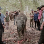 Mitigasi Konflik Gajah di Way Kambas Diperkuat, Masyarakat dan Konservasi Jadi Perhatian