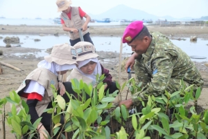 HUT ke-81 TNI, Brigif 4 Mar/BS Tanam Mangrove di Pantai Marine Eco Park Pesawaran