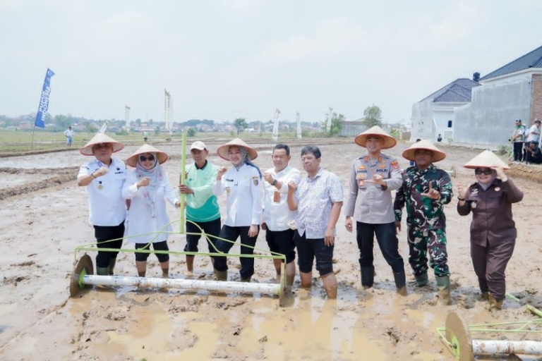 Pertanian Modern Jadi Strategi Lampung Tingkatkan Hasil Panen Petani