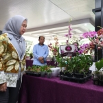 Pameran Anggrek Unila Padukan Konservasi, Inovasi, dan Peluang Ekonomi