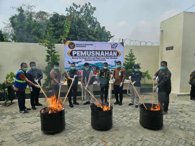Barang Bawaan dari Malaysia Dimusnahkan, Karantina Lampung Ingatkan Risiko Hama dan Penyakit