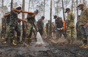 Berpacu dengan Api di Way Kambas, Gubernur Mirza Perkuat Pemadaman dan Lindungi Warga dari Asap