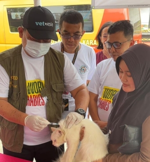 Jemput Bola hingga Sembilan Dusun, Karantina Lampung Vaksinasi 149 Hewan Cegah Rabies