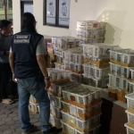 832 Ekor Burung Tanpa Dokumen Diamankan di Bakauheni, Diangkut Pakai Minibus Modifikasi